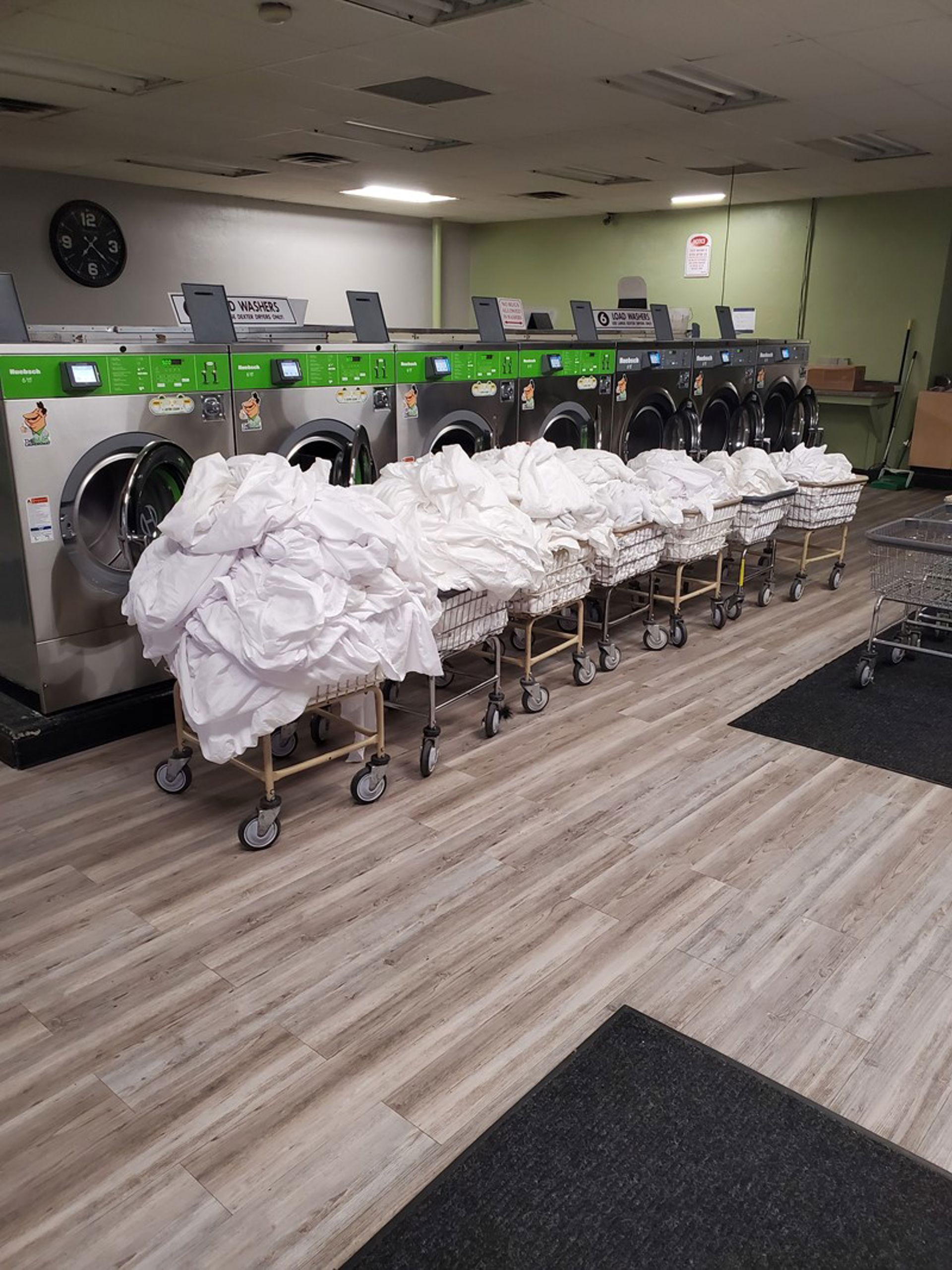 Detroit Shoreway Oh Laundry Service